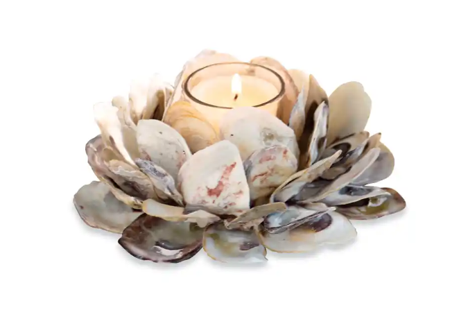 Oyster Shell Votive Holder