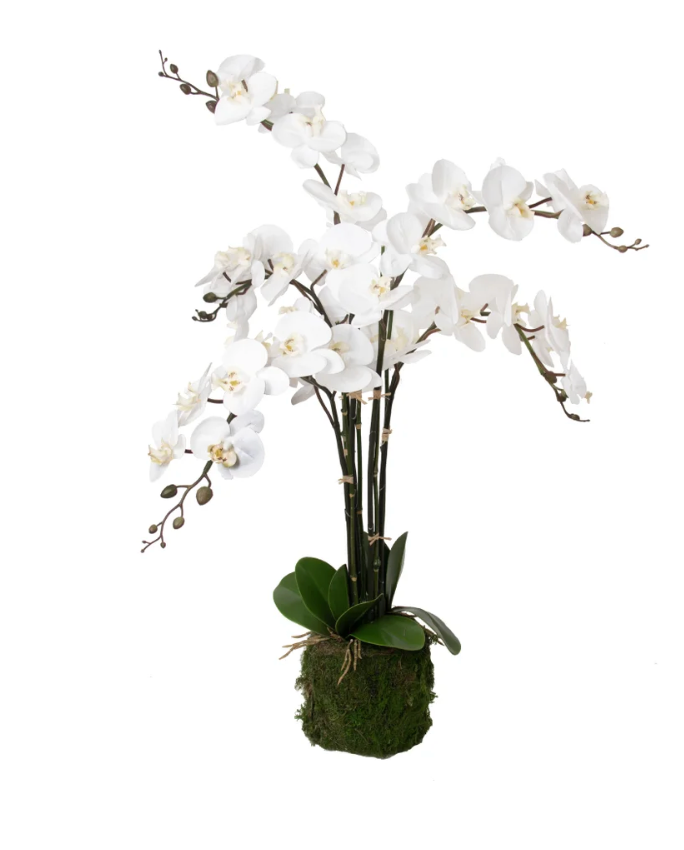 Multi Drop in Orchid